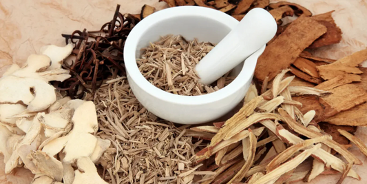 How TCM Works: Restoring Balance & Energy