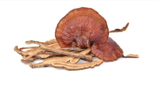 Immune-Boosting Reishi Chicken Soup
