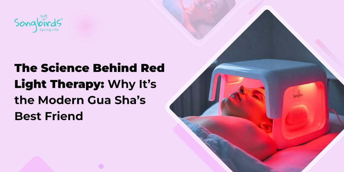 The Science Behind Red Light Therapy: Why It's the Modern Gua Sha's Best Friend