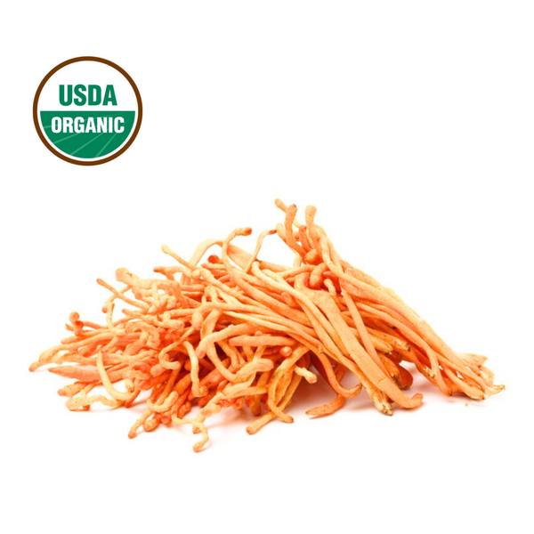 Organic Cordyceps Flower 蟲草花 4 oz