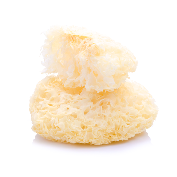 Organic Snow Fungus 雪耳 4 oz