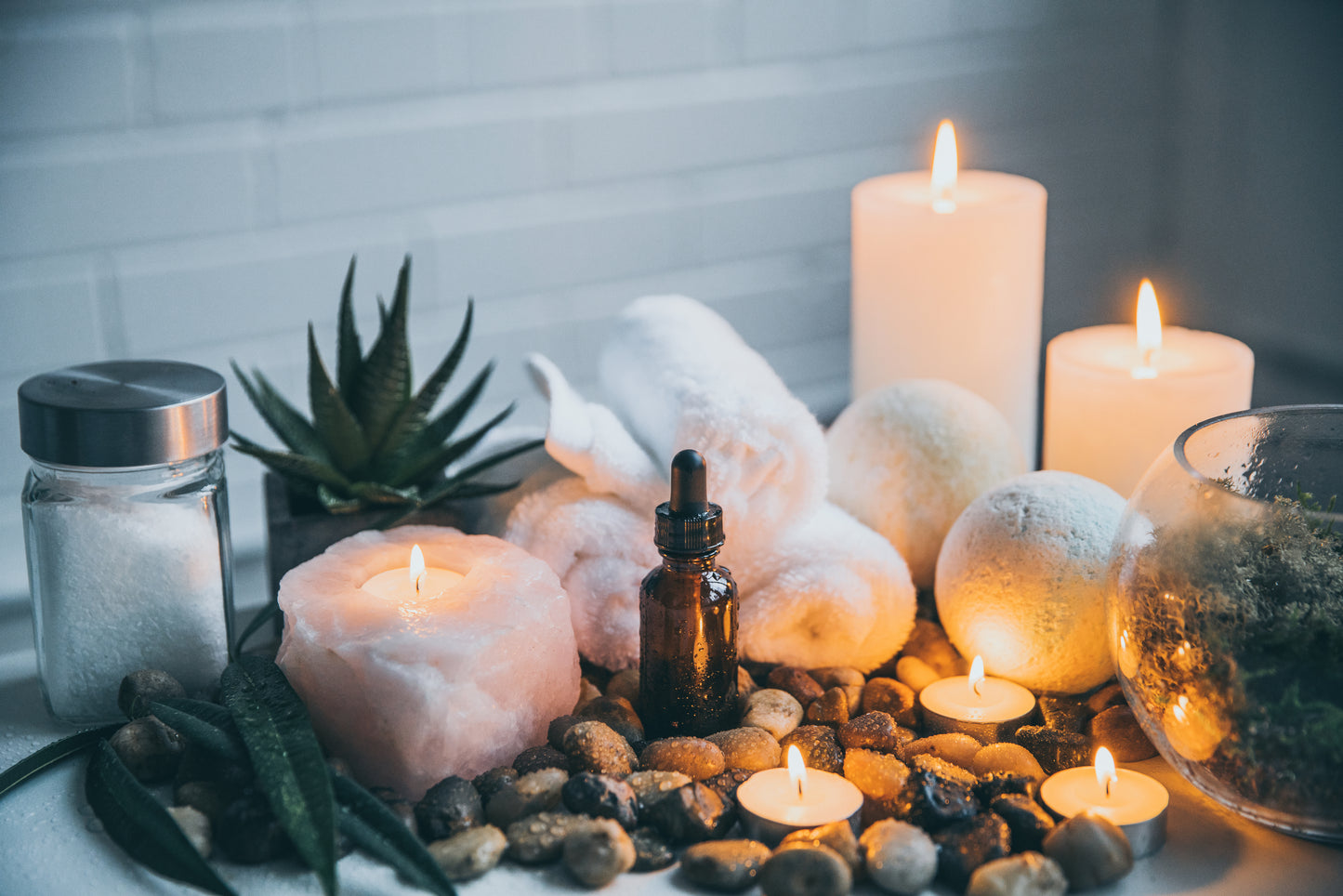 Beauty & Wellness Bootcamp + Synergy Facial