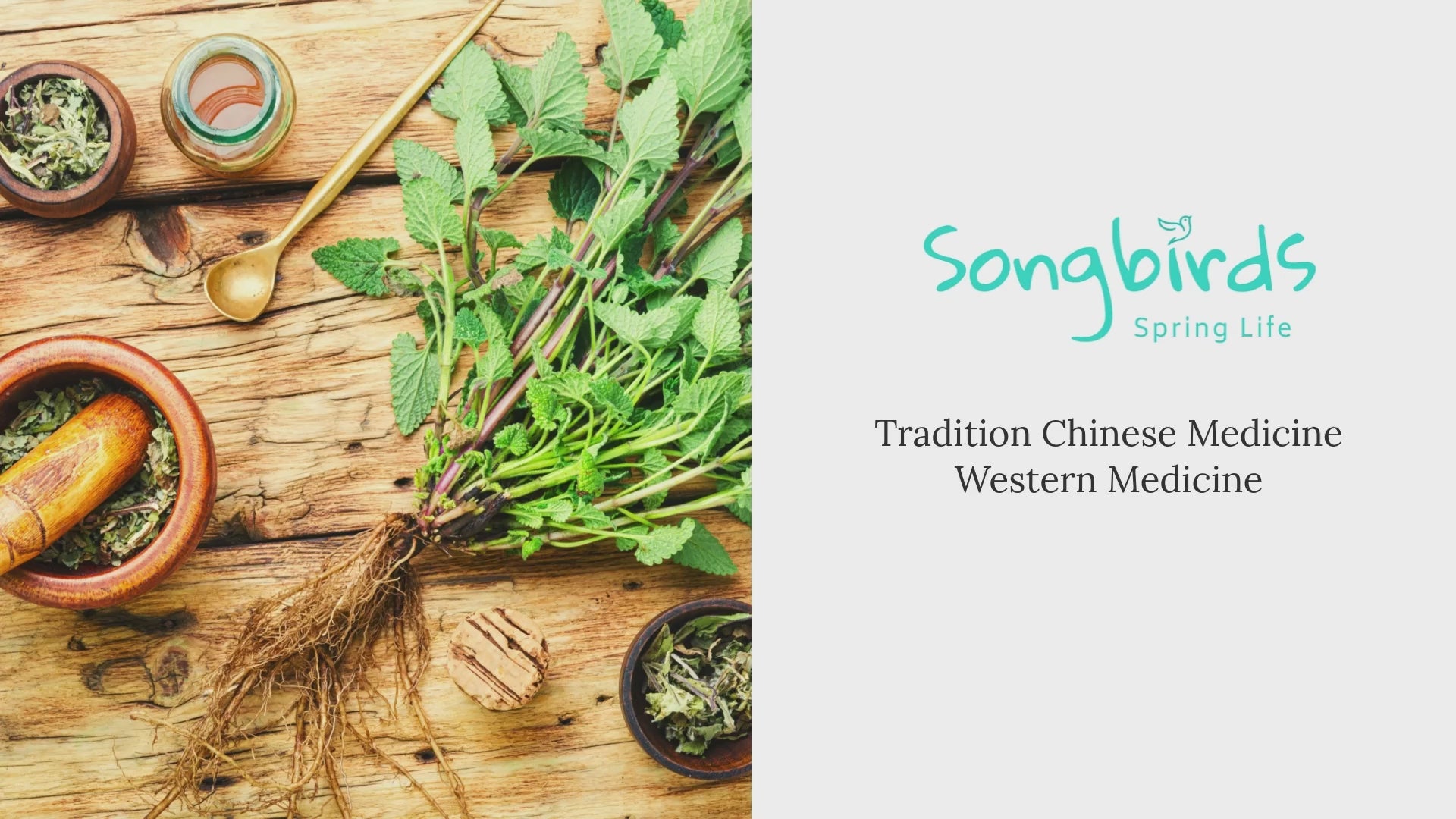 Load video: Traditional Chinese Medicine and Mordern Medicine